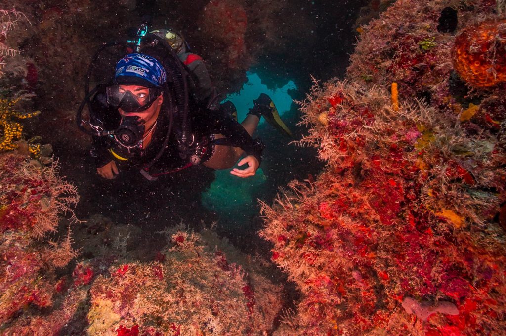 OceanImageBank_ShaunWolfe_08